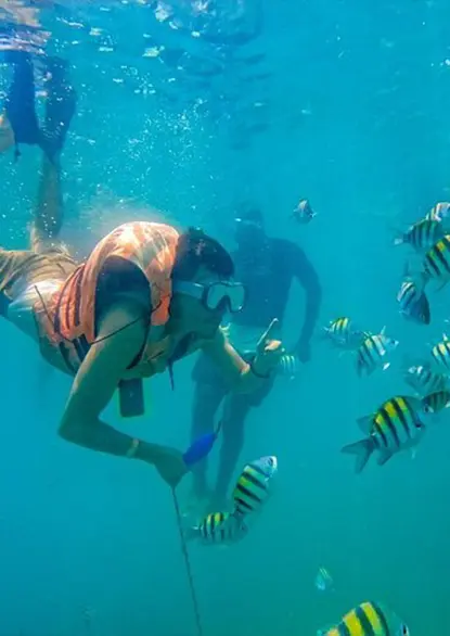 BARU + SNORKEL