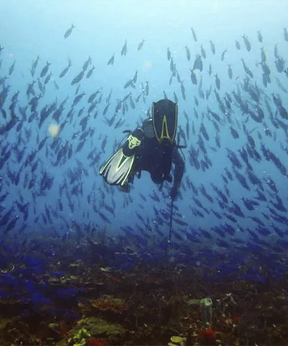 Piscina de Lama Tubarco